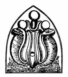 uraeus-kircher.jpg